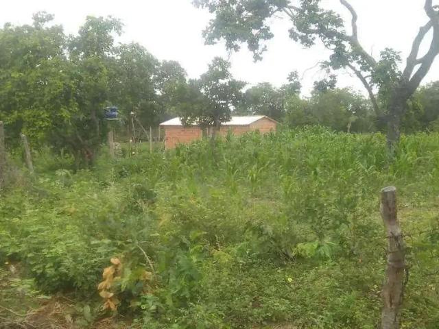 Sítio / Chácara para Venda em Bonito de Minas/MG Zona Rural