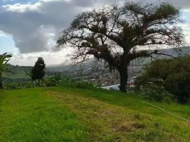 Sítio / Chácara para Venda em Bonito/PE Centro 4 Quartos