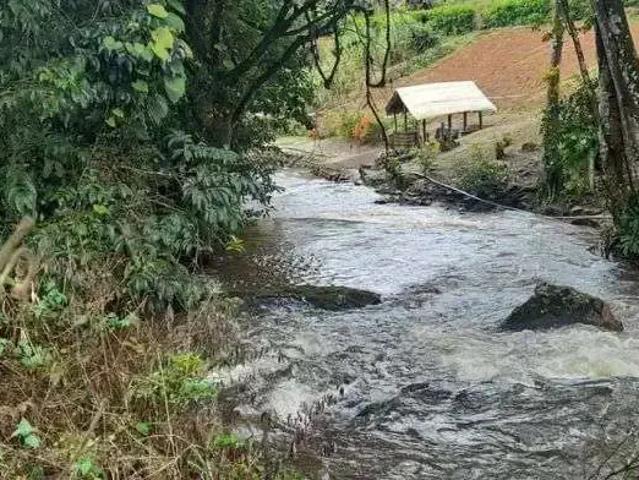 Sítio / Chácara para Venda em Bonito/PE Centro