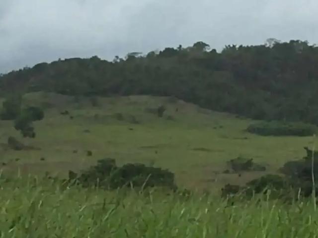 Sítio / Chácara para Venda em Boquim/SE Centro 3 Quartos