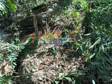 Sítio / Chácara para Venda em Borda da Mata/MG Centro
