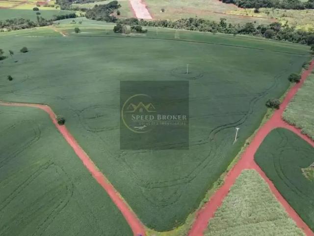 Sítio / Chácara para Venda em Batatais/SP Zona Rural