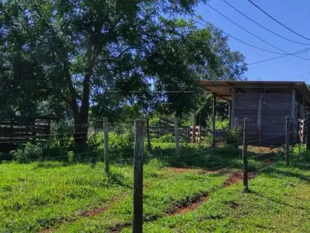 Sítio / Chácara para Venda em Bauru/SP Tibiriçá