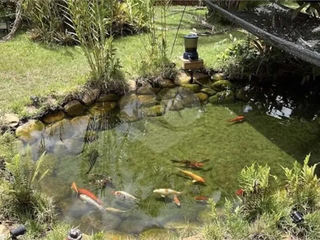 Sítio / Chácara para Venda em Bauru/SP Área Rural de Bauru 3 Quartos