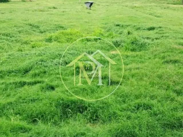 Sítio / Chácara para Venda em Bauru/SP Área Rural de Bauru 3 Quartos