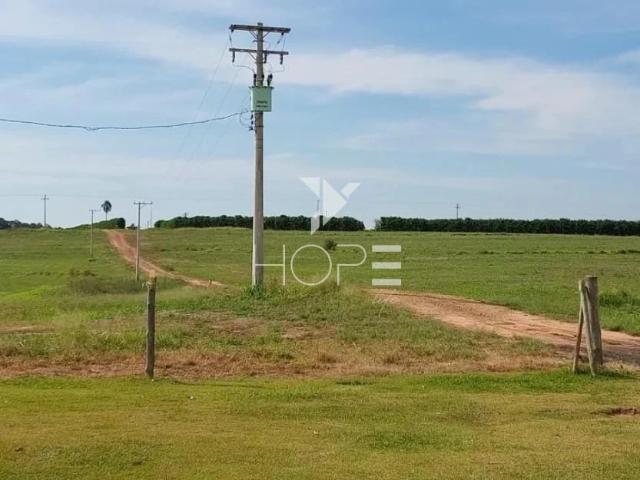 Sítio / Chácara para Venda em Bauru/SP Centro