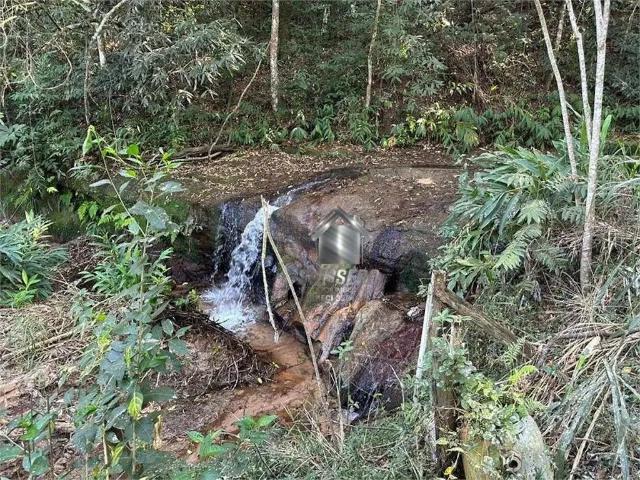 Sítio / Chácara para Venda em Bauru/SP Novo Jardim Pagani 1 Quartos
