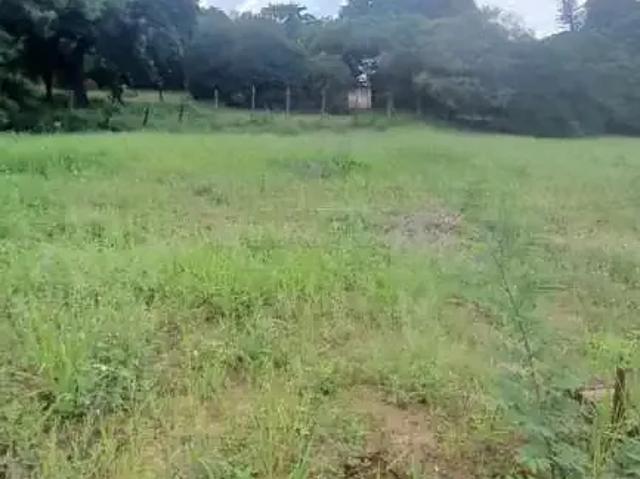 Sítio / Chácara para Venda em Bauru/SP Parque Vista Alegre