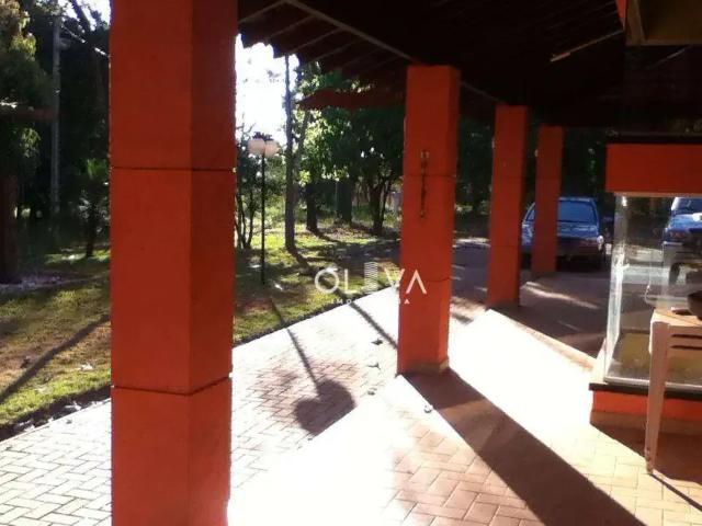 Sítio / Chácara para Venda em Bady Bassitt/SP Vertente Do Sul 3 Quartos