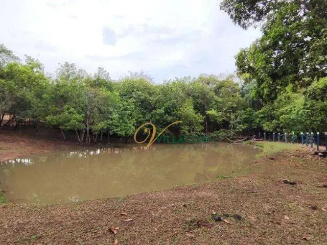 Sítio / Chácara para Venda em Bady Bassitt/SP Zona Rural