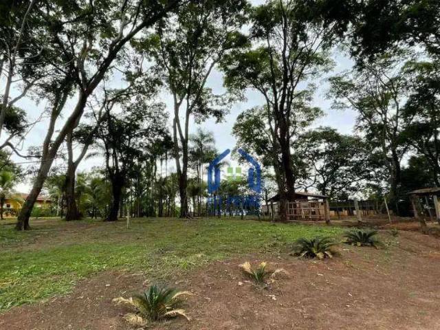 Sítio / Chácara para Venda em Bady Bassitt/SP Zona Rural 2 Quartos