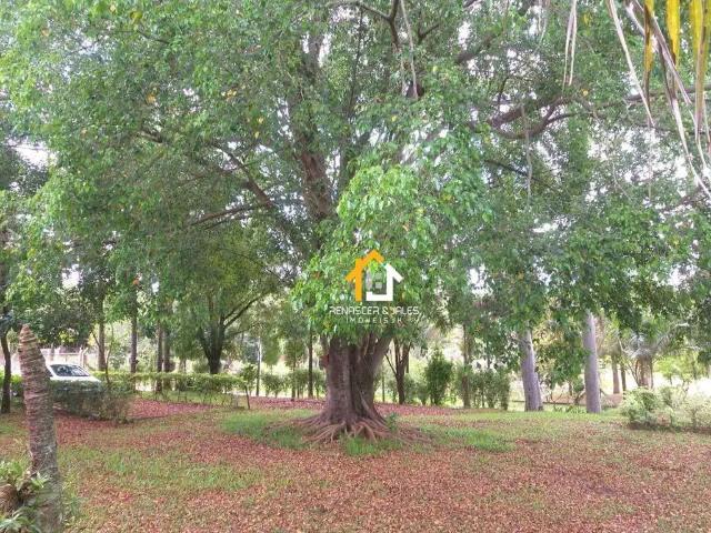 Sítio / Chácara para Venda em Bady Bassitt/SP Zona Rural 2 Quartos