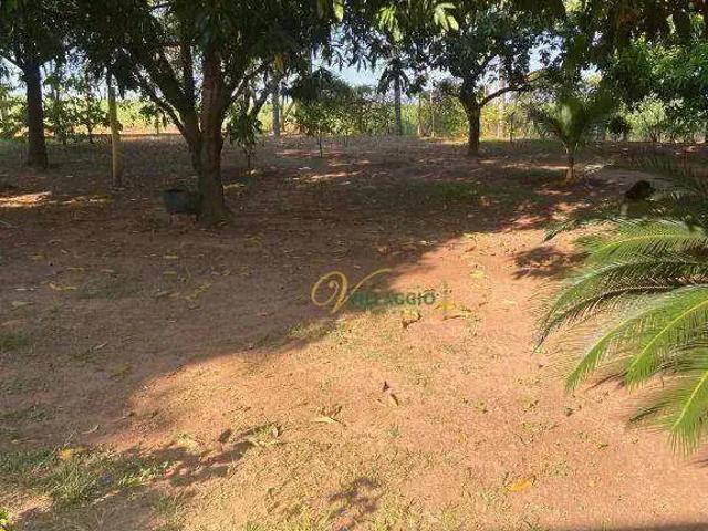 Sítio / Chácara para Venda em Bady Bassitt/SP Zona Rural 3 Quartos