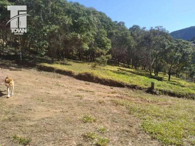 Sítio / Chácara para Venda em Baependi/MG Zona Rural