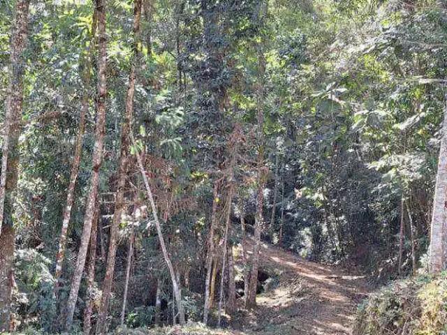Sítio / Chácara para Venda em Baependi/MG Zona Rural 5 Quartos