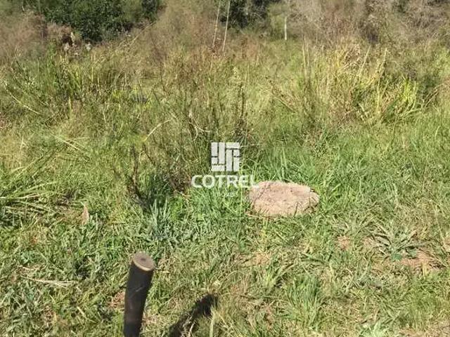 Sítio / Chácara para Venda em Bagé/RS Área Rural de Bagé