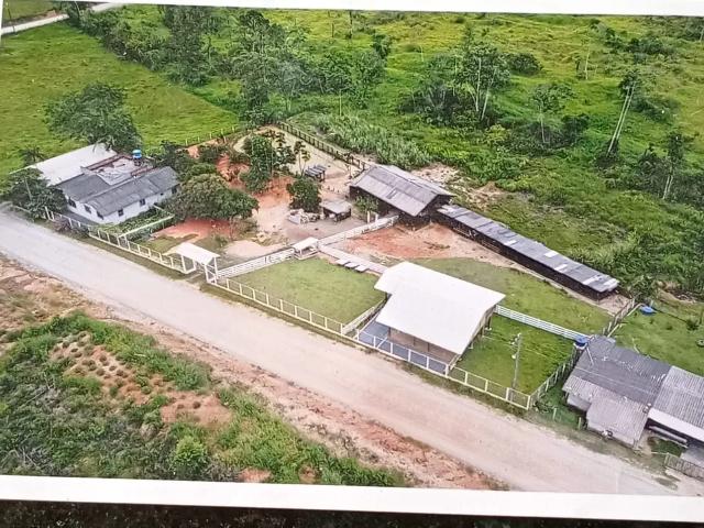 Sítio / Chácara para Venda em Balneário Piçarras/SC Morro Alto 4 Quartos