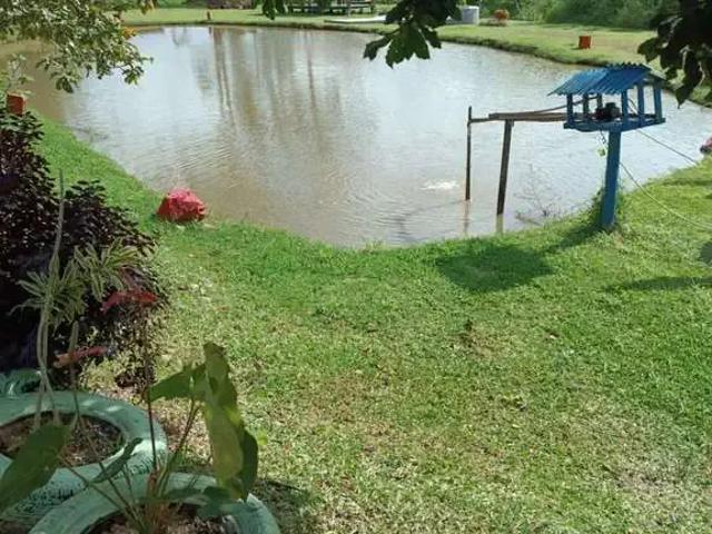 Sítio / Chácara para Venda em Balneário Piçarras/SC Zona Rural 10 Quartos