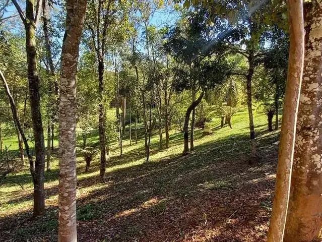 Sítio / Chácara para Venda em Balsa Nova/PR Bugre
