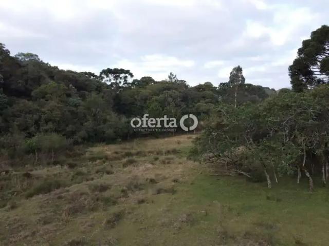 Sítio / Chácara para Venda em Balsa Nova/PR Bugre 3 Quartos