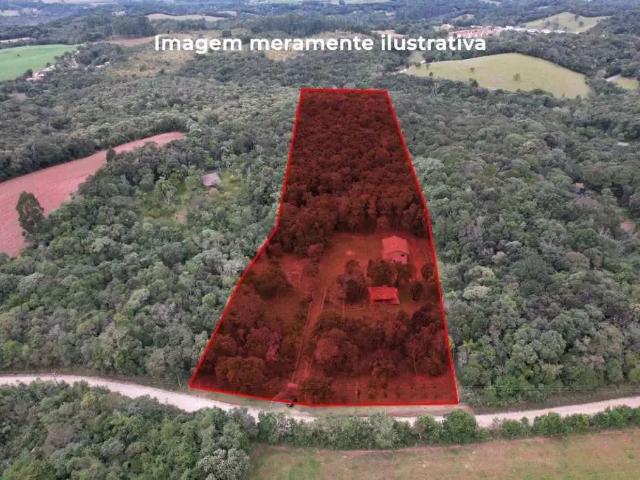 Sítio / Chácara para Venda em Balsa Nova/PR Bugre 4 Quartos