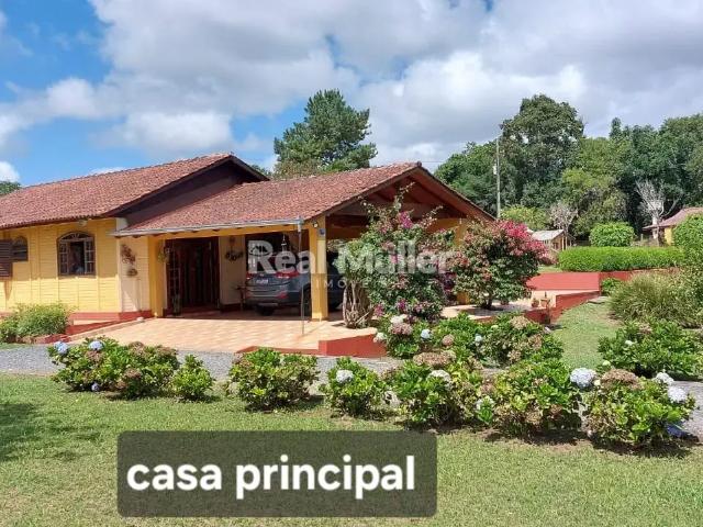 Sítio / Chácara para Venda em Balsa Nova/PR Bugre 6 Quartos