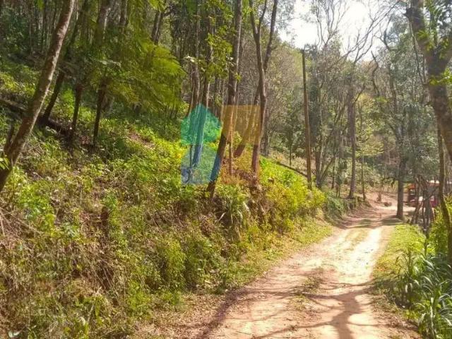 Sítio / Chácara para Venda em Balsa Nova/PR Bugre