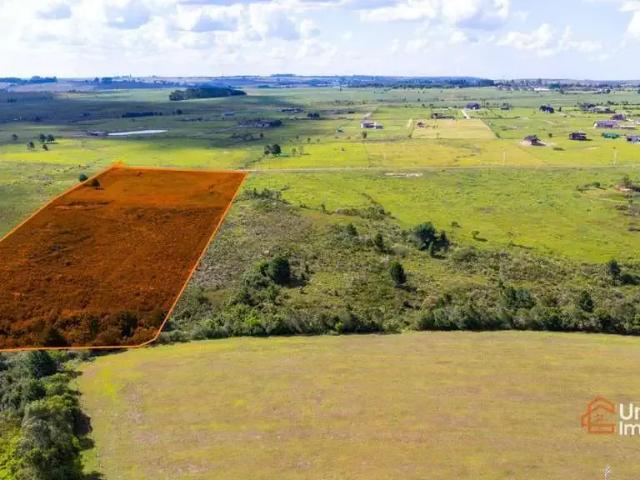 Sítio / Chácara para Venda em Balsa Nova/PR Centro