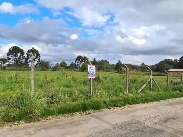 Sítio / Chácara para Venda em Balsa Nova/PR Centro 2 Quartos