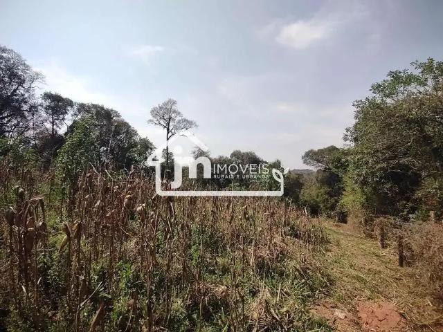 Sítio / Chácara para Venda em Balsa Nova/PR Rodeio Santo Antônio
