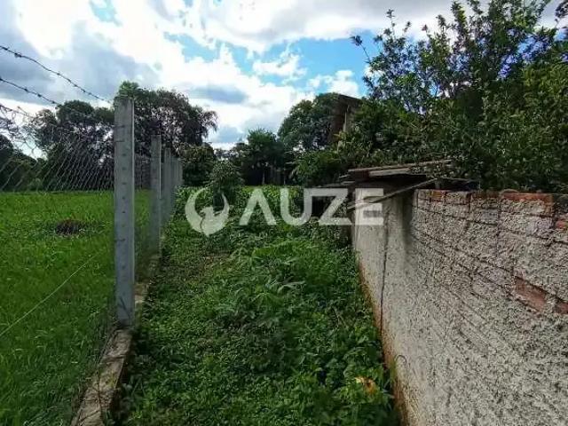 Sítio / Chácara para Venda em Balsa Nova/PR Rodeiozinho 3 Quartos