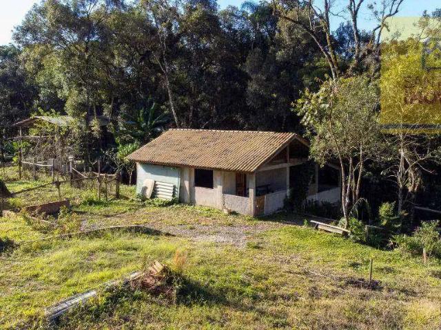 Sítio / Chácara para Venda em Balsa Nova/PR São Caetano 1 Quartos