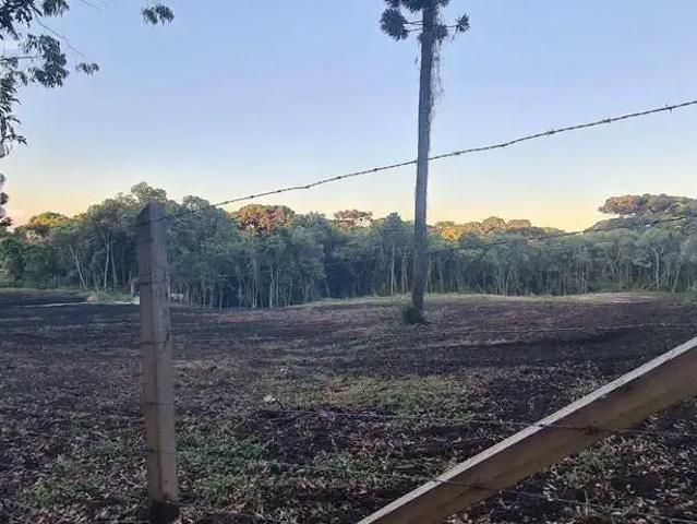 Sítio / Chácara para Venda em Balsa Nova/PR São Caetano 1 Quartos