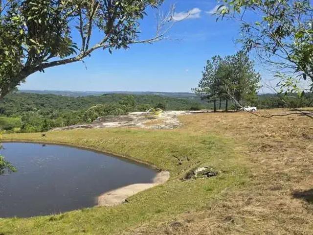 Sítio / Chácara para Venda em Balsa Nova/PR São Luiz do Purunã 1 Quartos