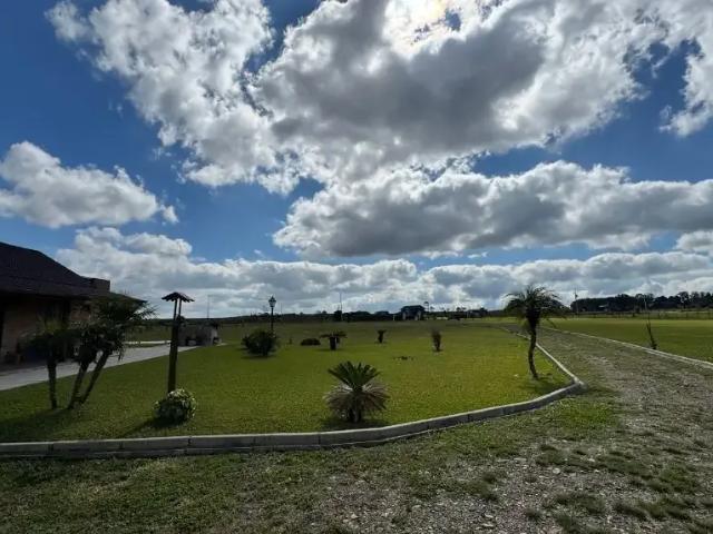Sítio / Chácara para Venda em Balsa Nova/PR São Luiz do Purunã 1 Quartos