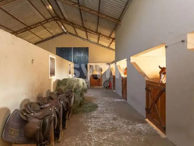 Sítio / Chácara para Venda em Balsa Nova/PR São Luiz do Purunã 5 Quartos
