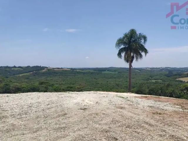 Sítio / Chácara para Venda em Balsa Nova/PR Santo Antonio