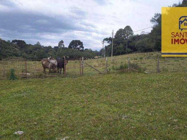 Sítio / Chácara para Venda em Balsa Nova/PR Zona Rural 3 Quartos