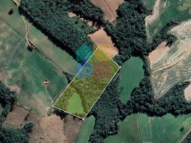 Sítio / Chácara para Venda em Balsa Nova/PR Zona Rural