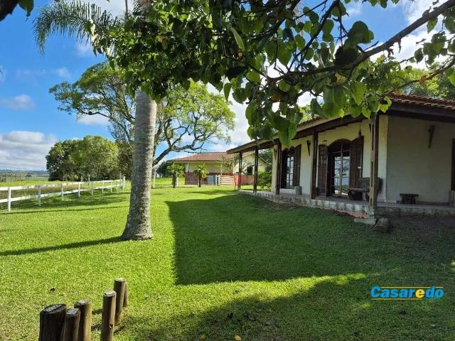 Sítio / Chácara para Venda em Balsa Nova/PR Zona Rural