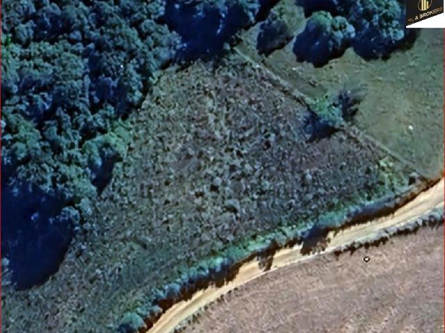 Sítio / Chácara para Venda em Balsa Nova/PR Zona Rural