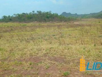 Balsas, Tocantins