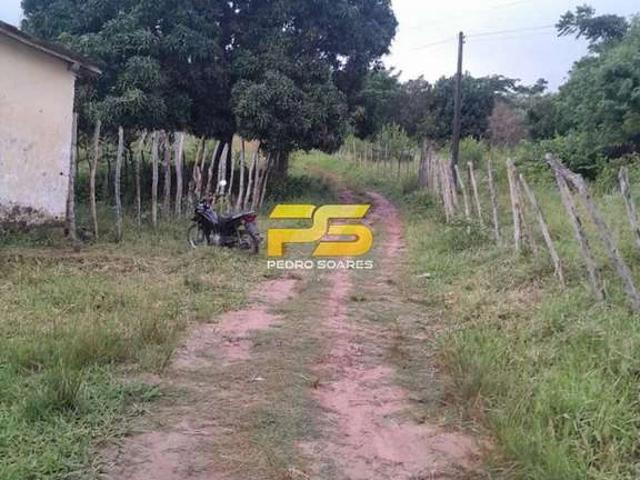 Sítio / Chácara para Venda em Bananeiras/PB Distritos