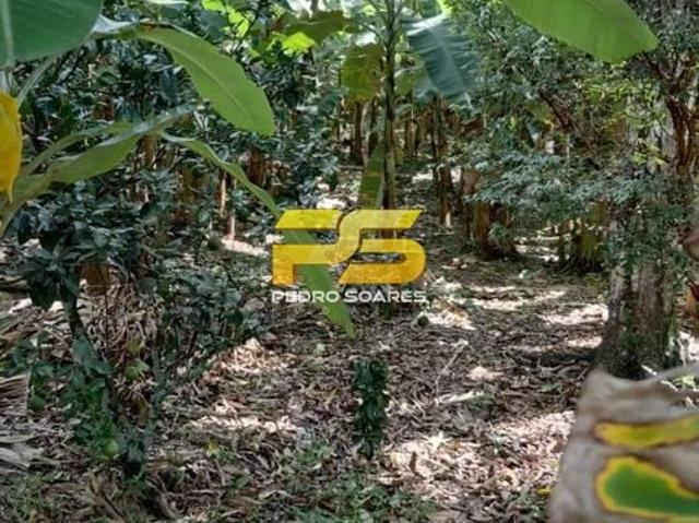 Sítio / Chácara para Venda em Bananeiras/PB Distritos