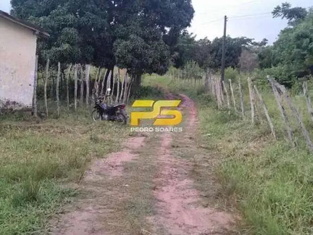Sítio / Chácara para Venda em Bananeiras/PB Distritos