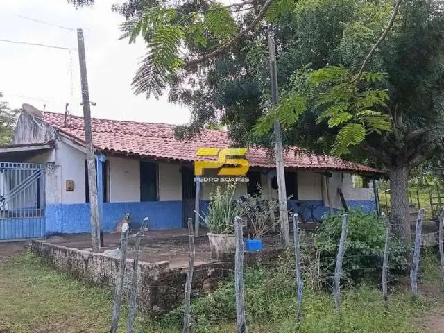 Sítio / Chácara para Venda em Bananeiras/PB Distritos