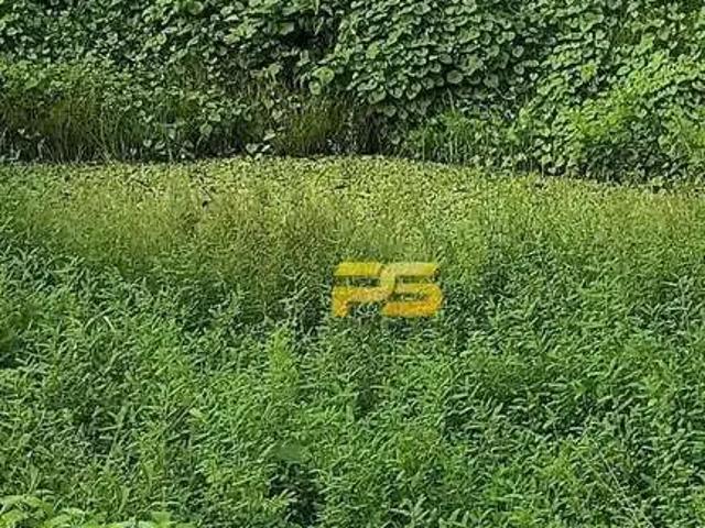 Sítio / Chácara para Venda em Bananeiras/PB Zona Rural