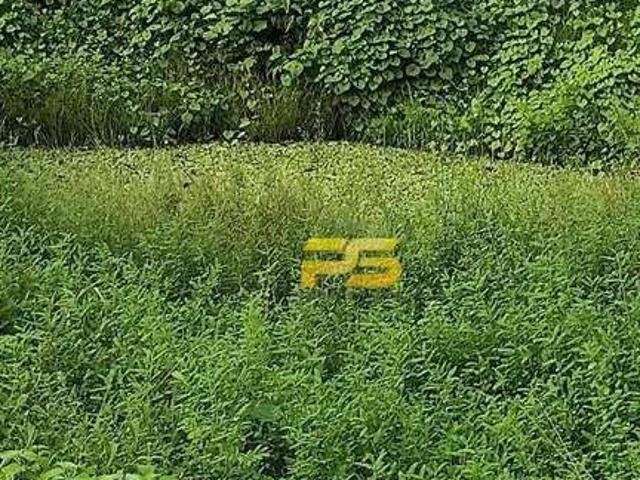 Sítio / Chácara para Venda em Bananeiras/PB Zona Rural