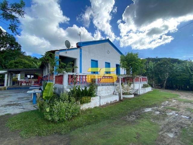 Sítio / Chácara para Venda em Bananeiras/PB Zona Rural