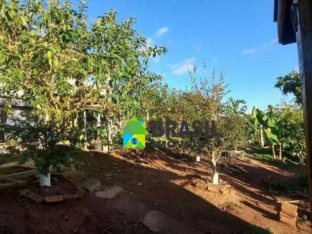 Sítio / Chácara para Venda em Bandeira do Sul/MG Centro 3 Quartos